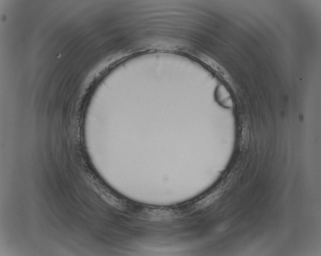 X0000081421027200702092128