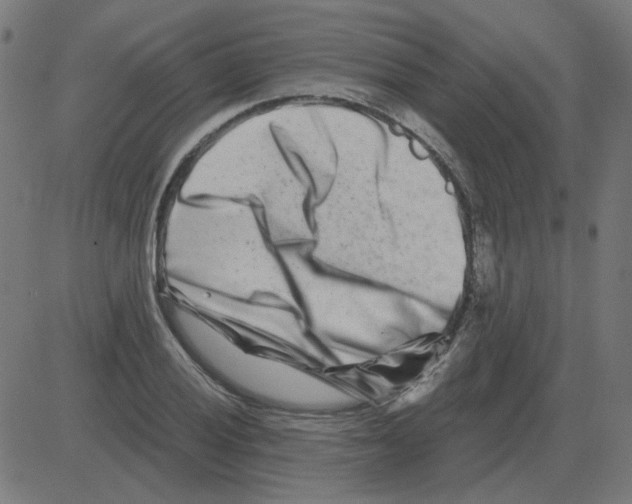 X0000081421028200702092128