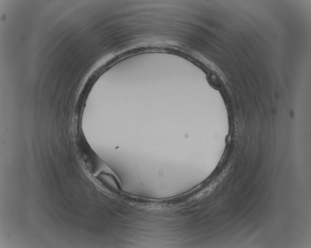 X0000081421029200702092128