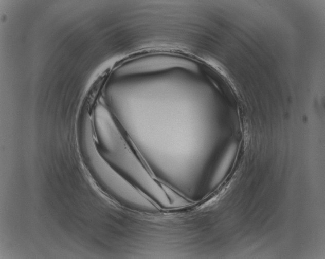 X0000081421030200702092128