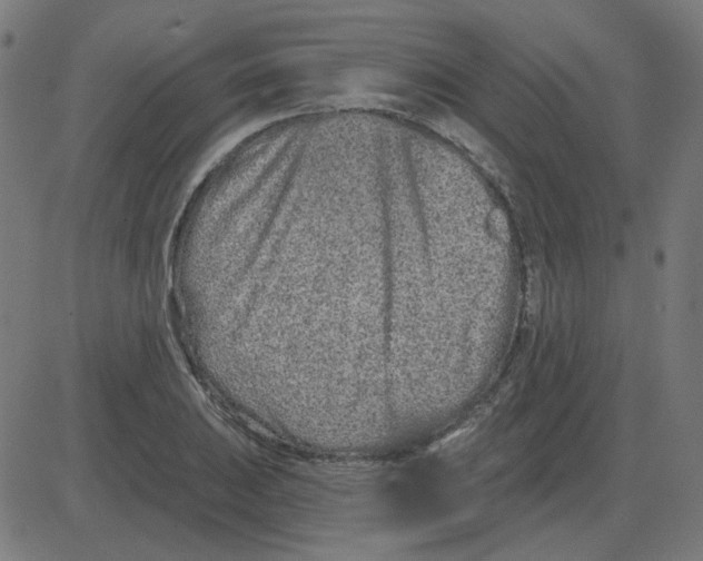 X0000081421031200702092128