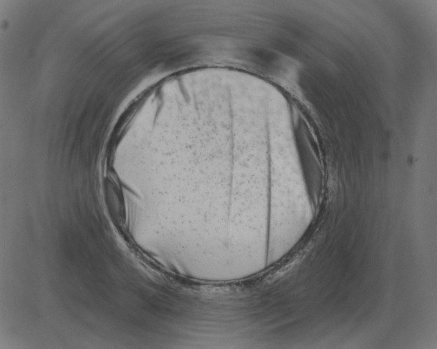 X0000081421032200702092128