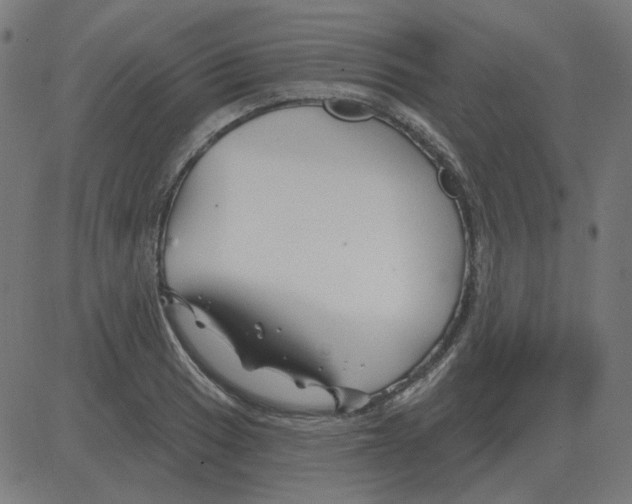 X0000081421033200702092128