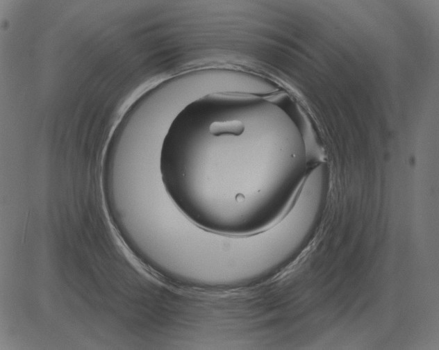 X0000081421034200702092129