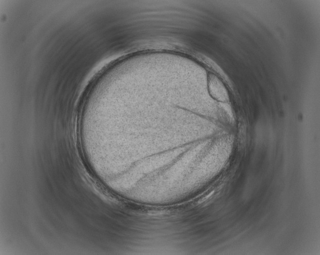 X0000081421035200702092129