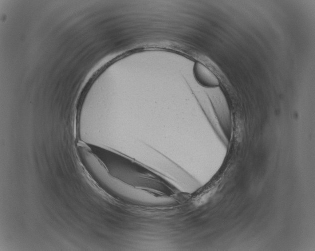 X0000081421036200702092129