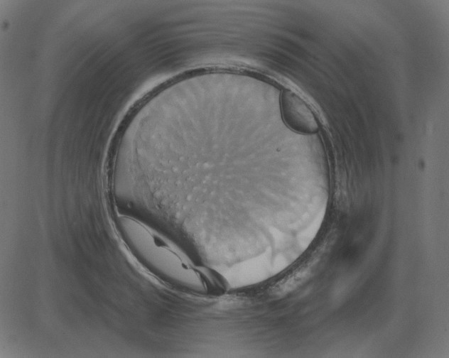 X0000081421037200702092129