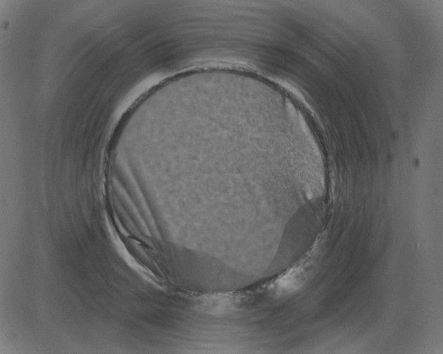 X0000081421038200702092129