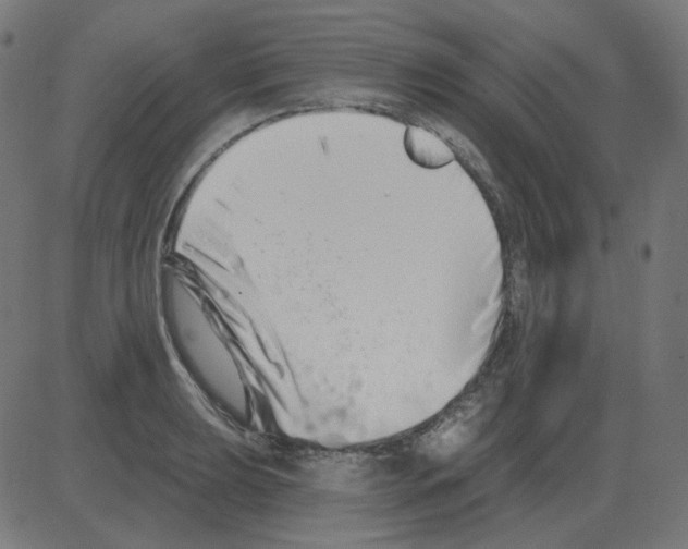 X0000081421039200702092129