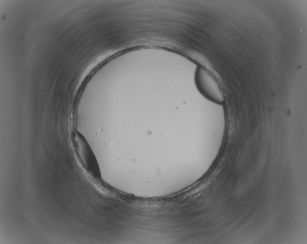 X0000081421040200702092129