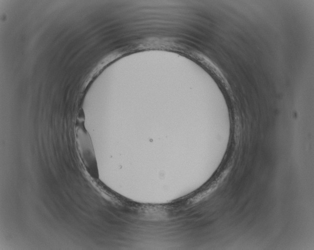 X0000081421041200702092129