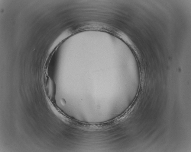 X0000081421042200702092129