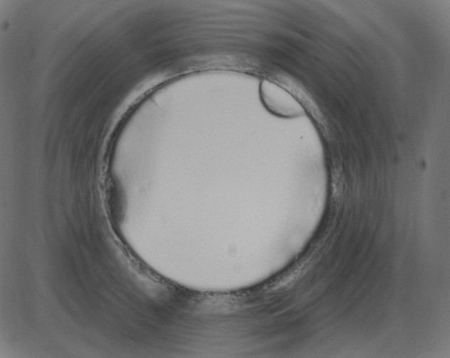 X0000081421043200702092129