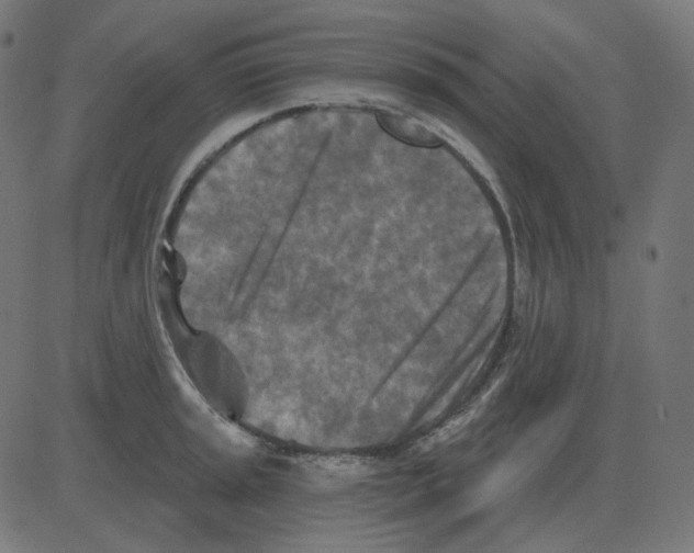 X0000081421045200702092129