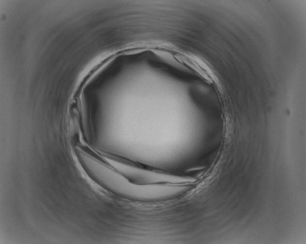 X0000081421046200702092129