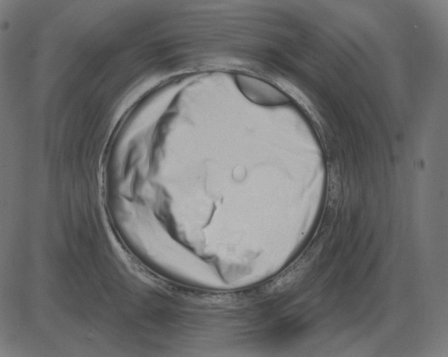 X0000081421047200702092129