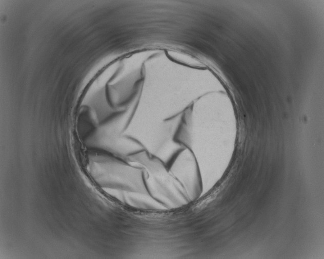 X0000081421048200702092129