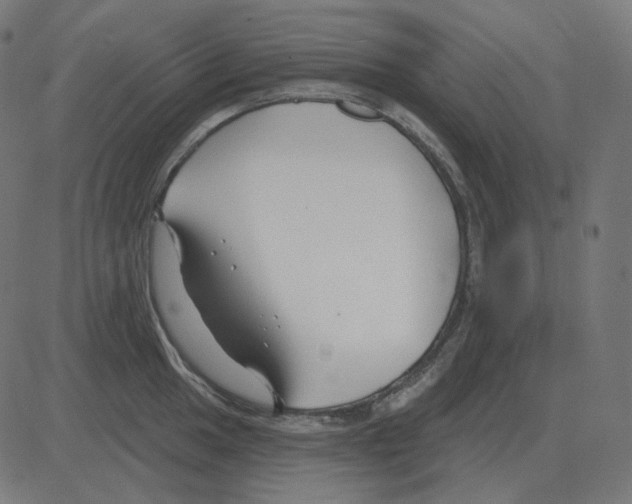 X0000081421049200702092129