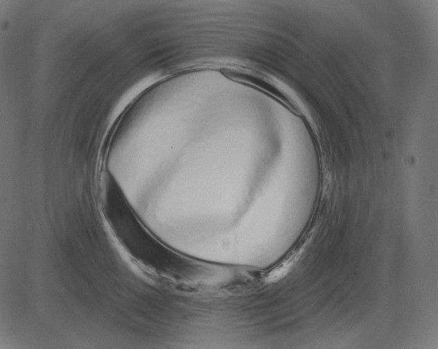 X0000081421050200702092129