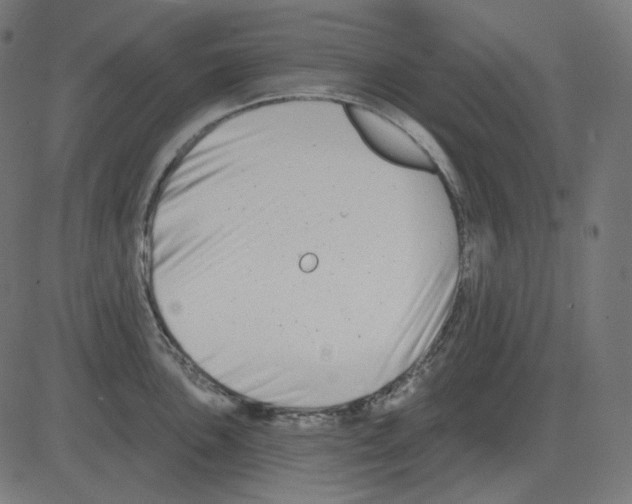 X0000081421051200702092129