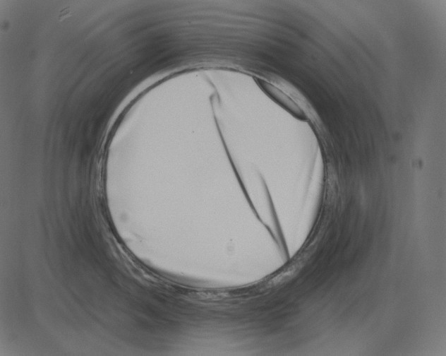 X0000081421052200702092129