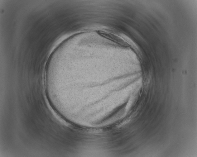 X0000081421055200702092129