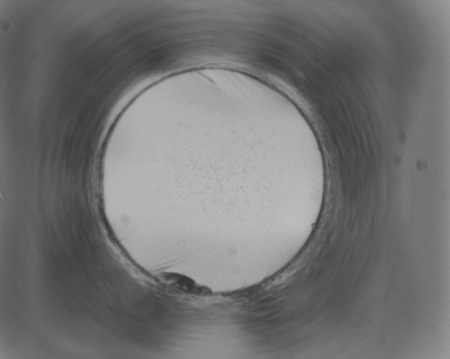 X0000081421056200702092129