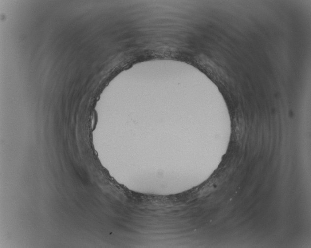 X0000081421057200702092128