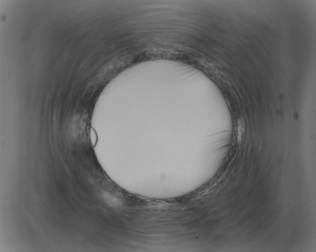 X0000081421059200702092128