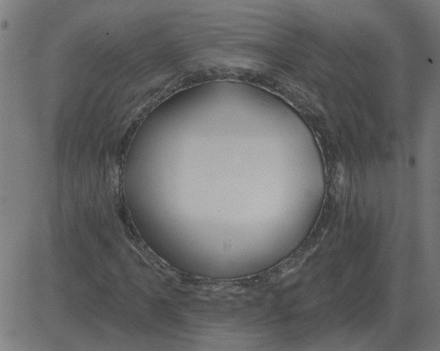 X0000081421061200702092128