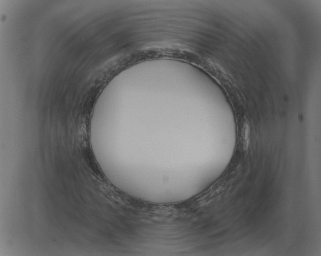 X0000081421062200702092128