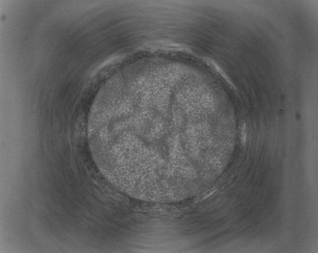 X0000081421063200702092128