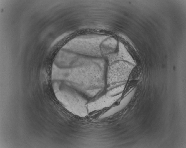 X0000081421064200702092128