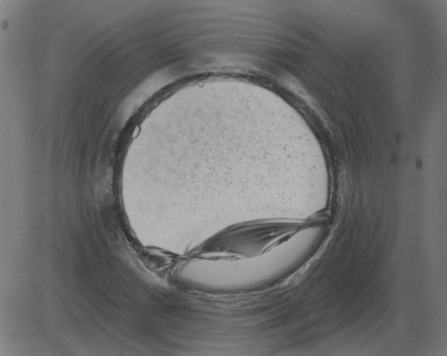 X0000081421066200702092128