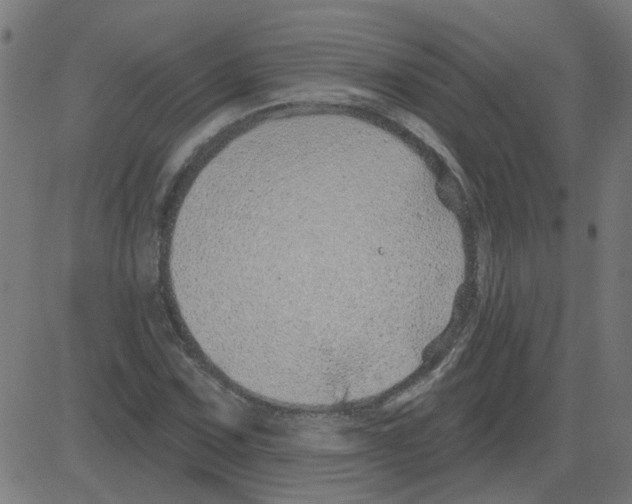 X0000081421067200702092128