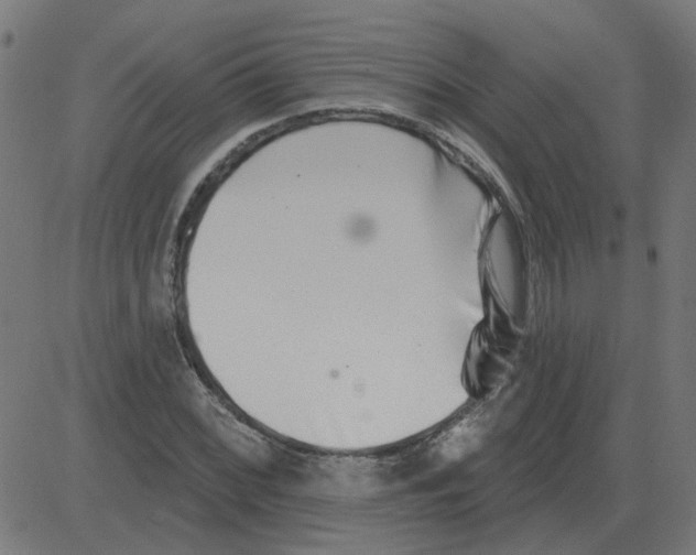 X0000081421068200702092128