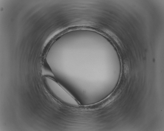 X0000081421069200702092128