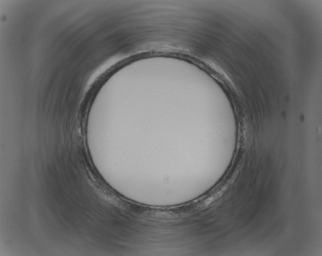 X0000081421070200702092128