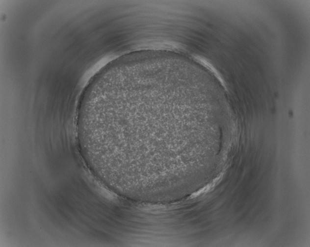 X0000081421071200702092128