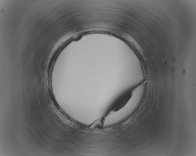 X0000081421072200702092128