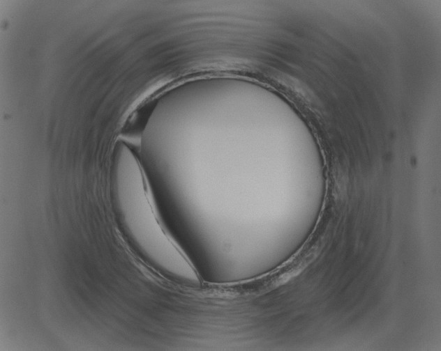 X0000081421073200702092128