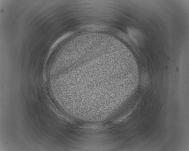 X0000081421074200702092128