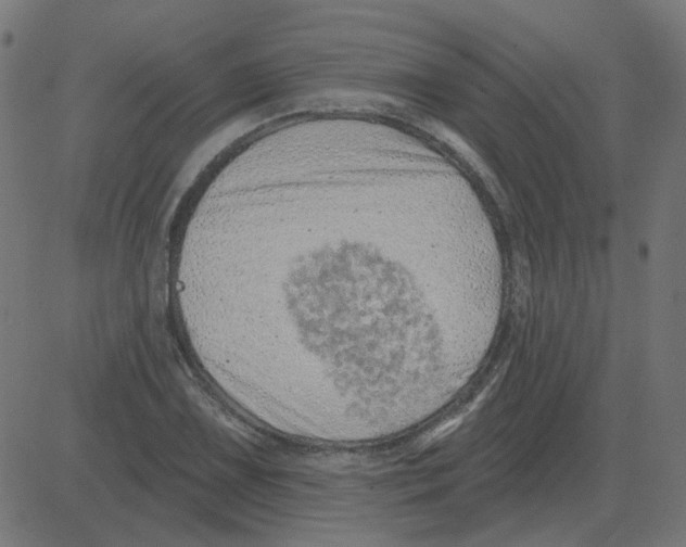 X0000081421075200702092128