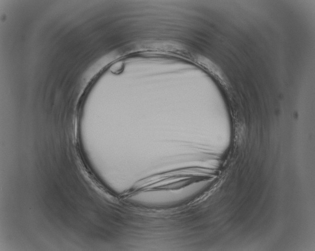 X0000081421079200702092128