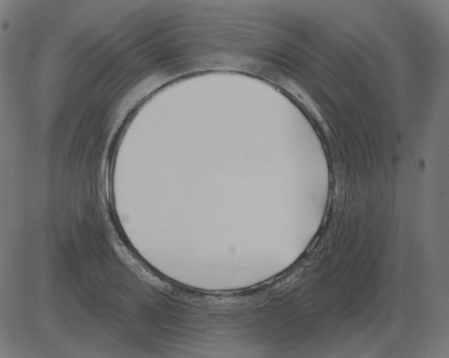 X0000081421080200702092128