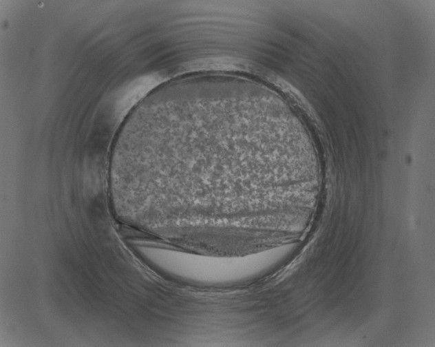 X0000081421081200702092128