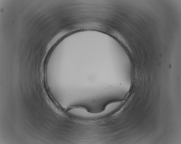 X0000081421082200702092128