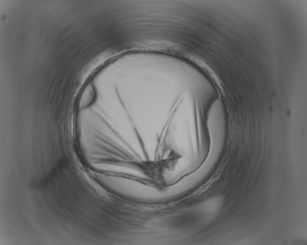 X0000081421083200702092128