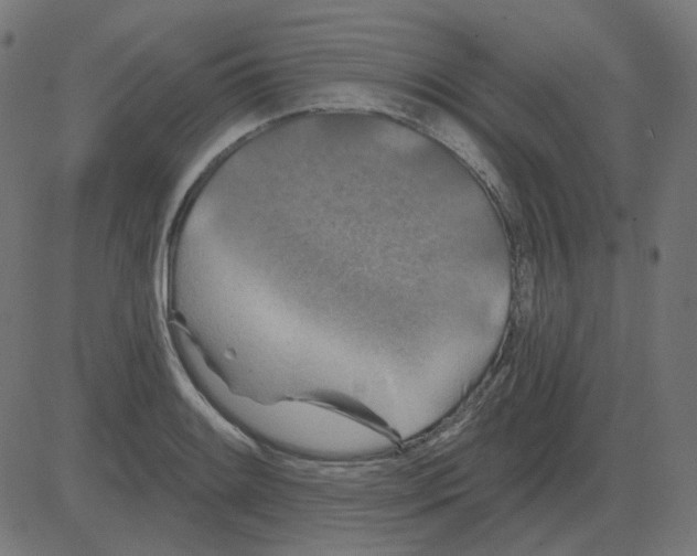 X0000081421084200702092128