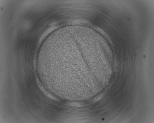 X0000081421086200702092128